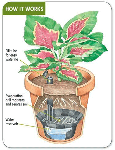 self-watering-how-it-works