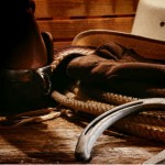 horse-gear-for-sale