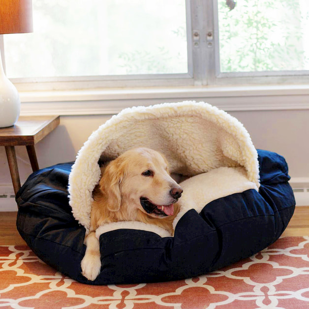 Dog resting on his bed