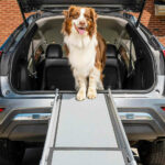 dog ramps for cars