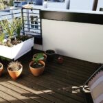 veggie-planters-in-balcony