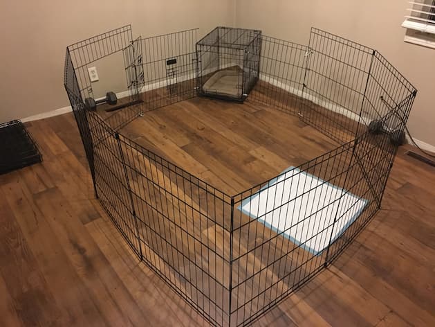 How to Set Up the Playpen?