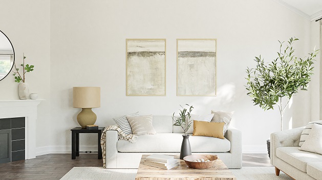 Organized living room with white couch