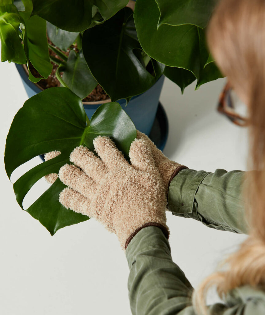 Dusting Gloves for plants