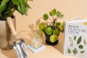 gifts for plant lovers such as plant, book about plants and self-watering