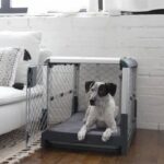 Our Tips for Buying a Dog Crate: Keep Your Pooch Safe and Comfortable When Travelling