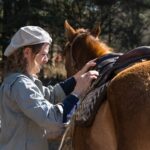 Horse Blankets 101: Tips for Choosing the Right Blanket for Every Season