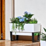 modern planters indoor