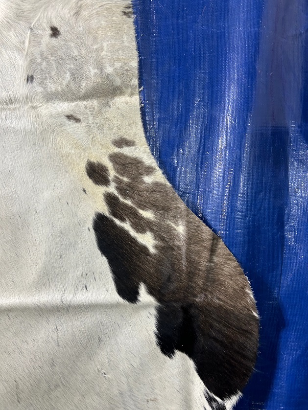 Colored cowhide rug