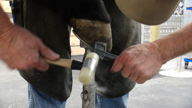 diamond-farrier-clinch-cutter
