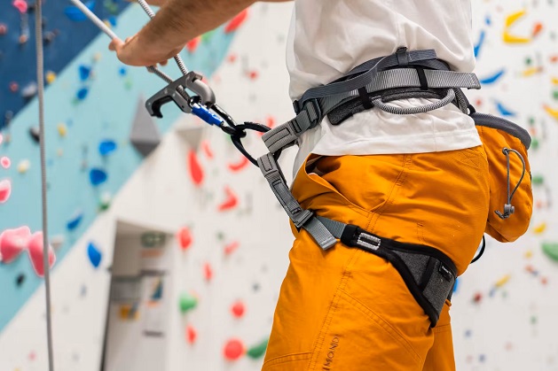 Harness for climbing